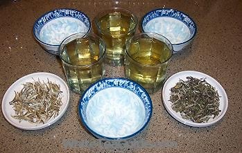 White Tea Guide